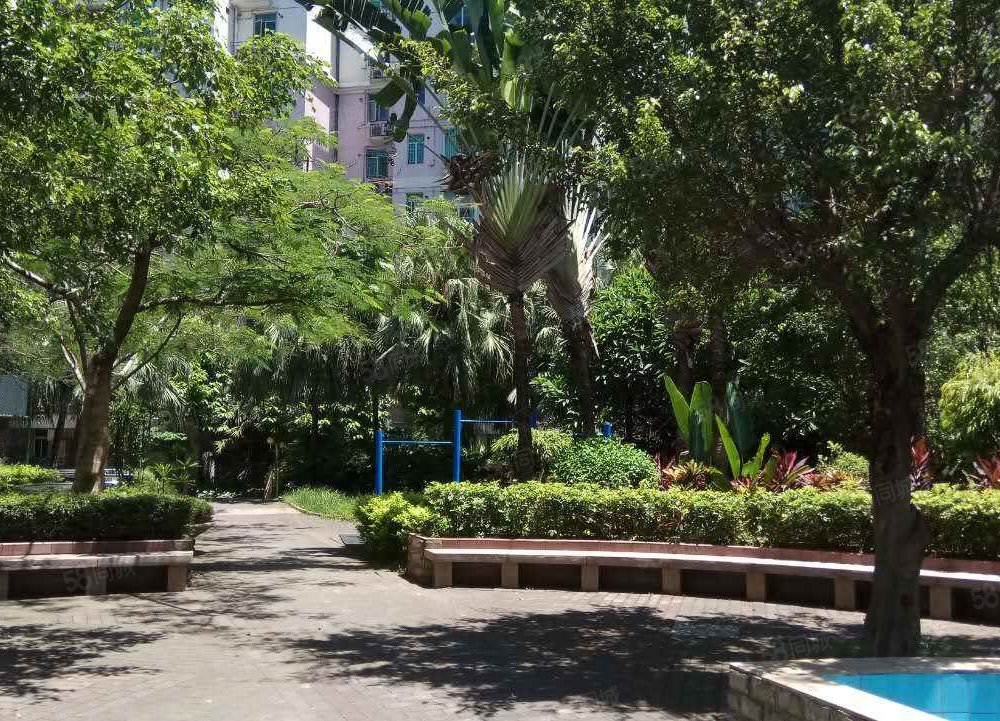 【鹿鸣园, 鹿鸣园小区详情,房价走势,房源,业主论坛】- 深圳58同城