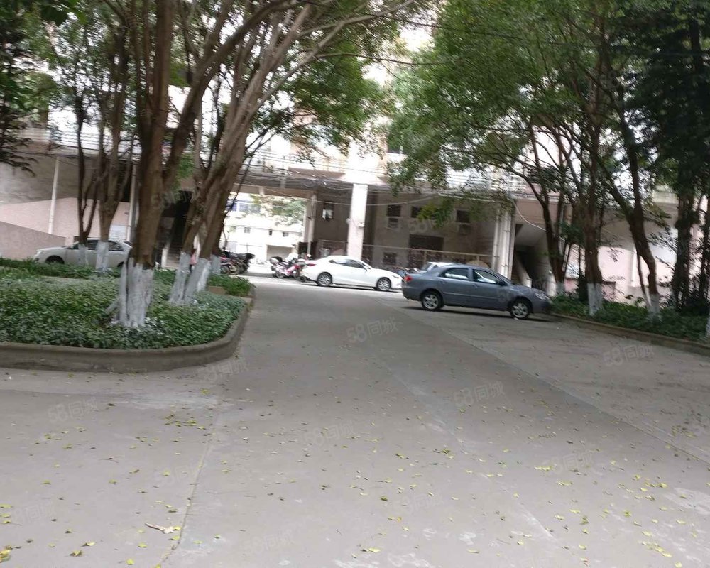 【荷香苑, 荷香苑小区详情,房价走势,房源,业主论坛】- 佛山58同城