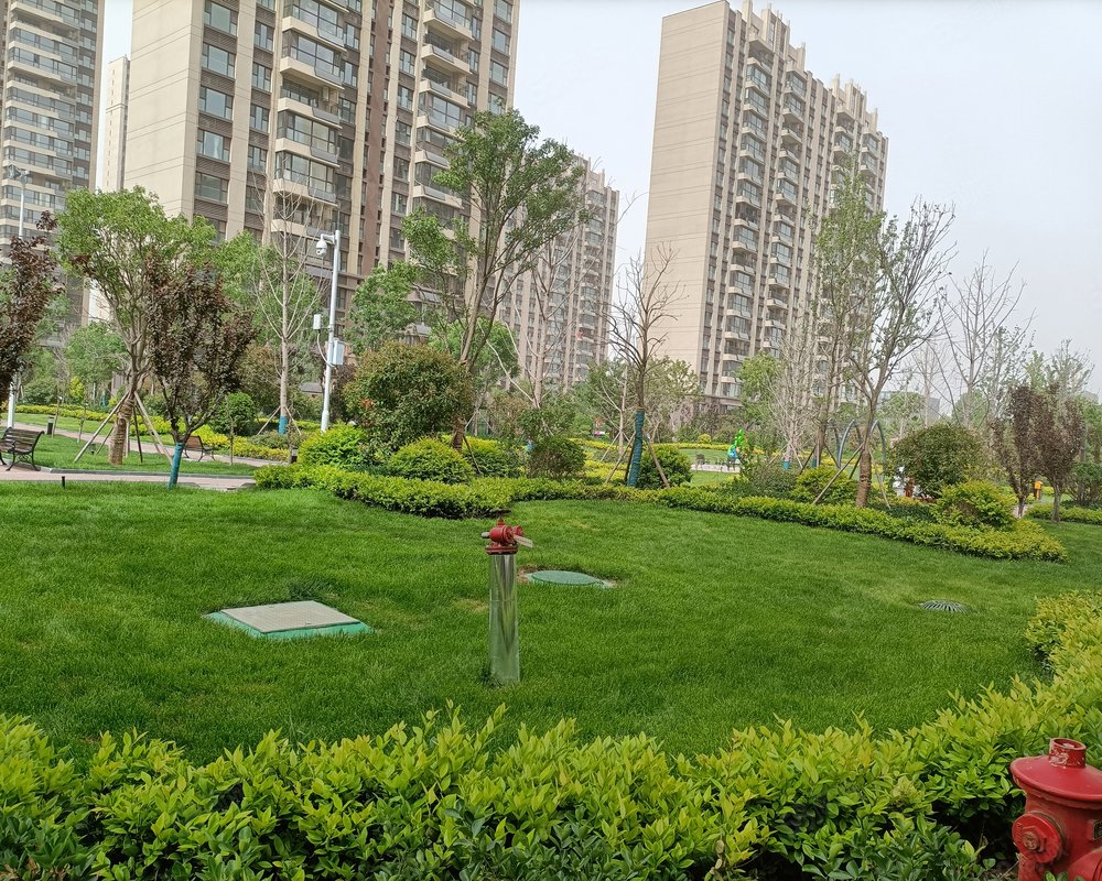 碧桂园中央公园