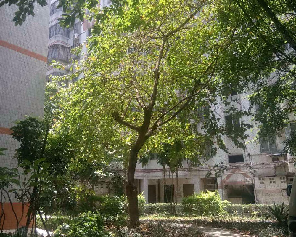 【唐园小区, 唐园小区小区详情,房价走势,房源,业主论坛】- 佛山58