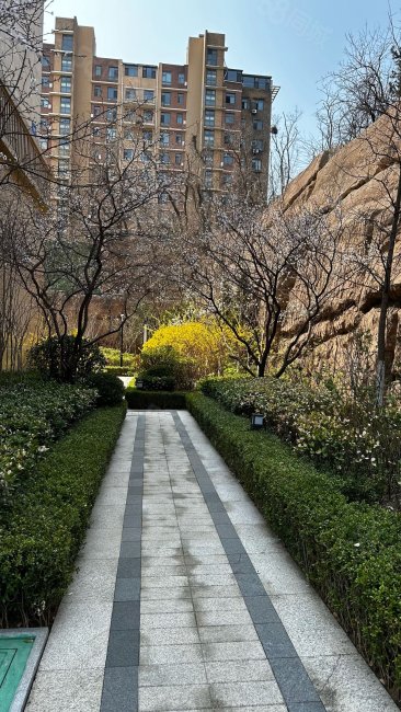 万科中南府|中南路350号4室2厅2卫151平方米