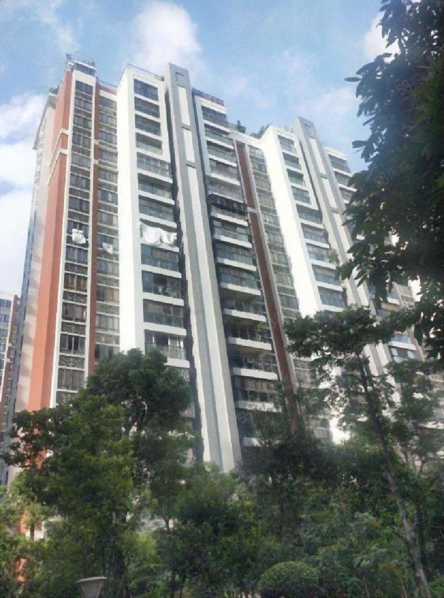 天华美地 4楼 正园心东南三面采光 正规3房带储藏室带双阳台