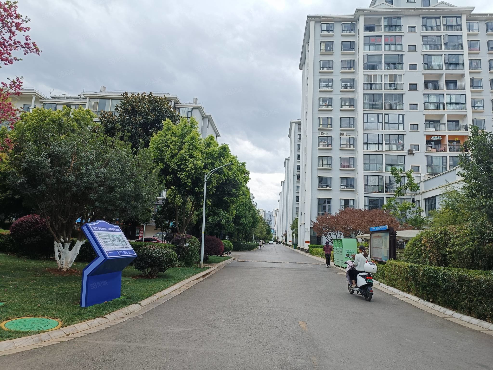 金江小区旭苑4室2厅2卫183㎡南北376万