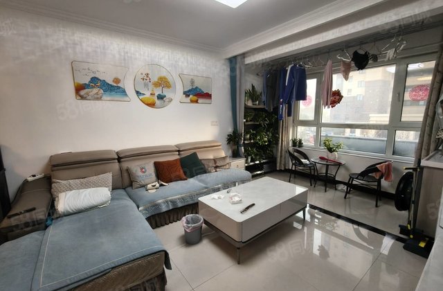 东盛嘉华苑 双卫格局 精装修 南北通透 小三居 次新小区