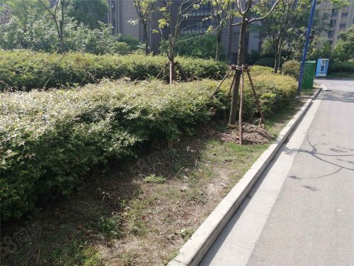 【高庄花园房价走势,高庄花园房屋出租,高庄花园二手房出售】- 泗洪58