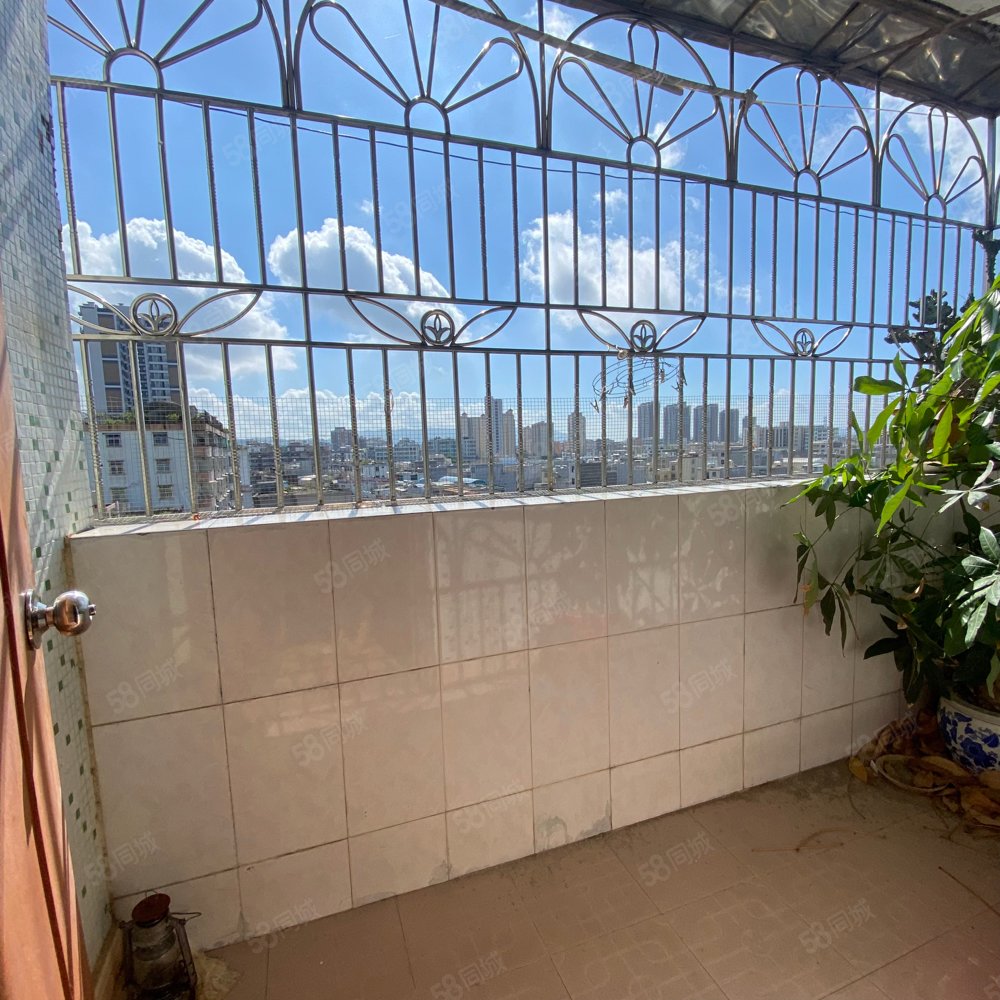 新合紫东庄3室2厅2卫90㎡西30万