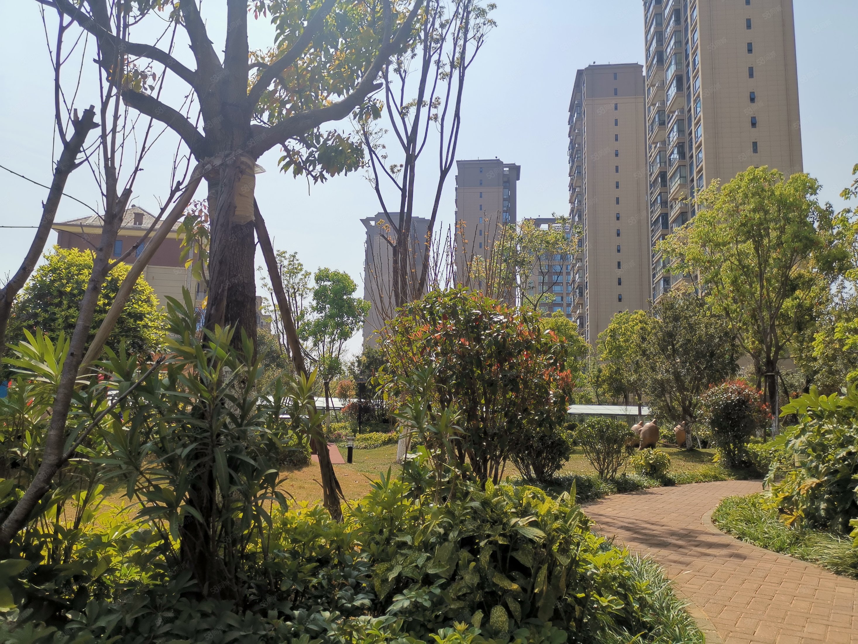 碧桂园凤凰湾(水蓝苑)-昆明58同城