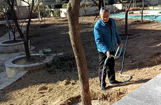 盛世天湖一期 南向采光好 居住密度低 有院，有大露台，车库。