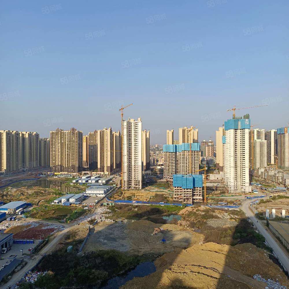 金港茗苑130方可做六房0公摊单价5000出头