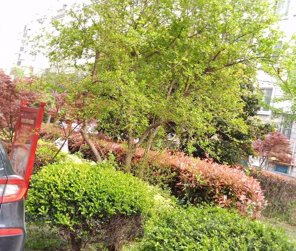 【金都花园, 金都花园小区详情,房价走势,房源,业主