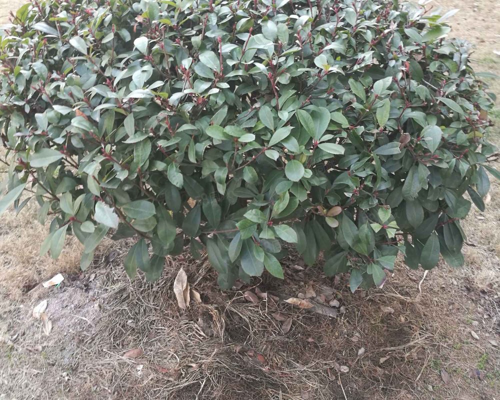 【紫欣苑, 紫欣苑小区详情,房价走势,房源,业主论坛】- 东阳58同城