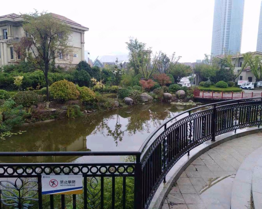 唐岛金湾