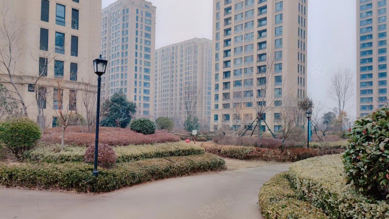 急售万达旁绿城桂花园3室精装送地下室好楼层采光极好