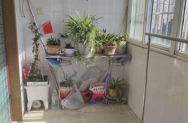 金山花园3室2厅134㎡89万二手房图片