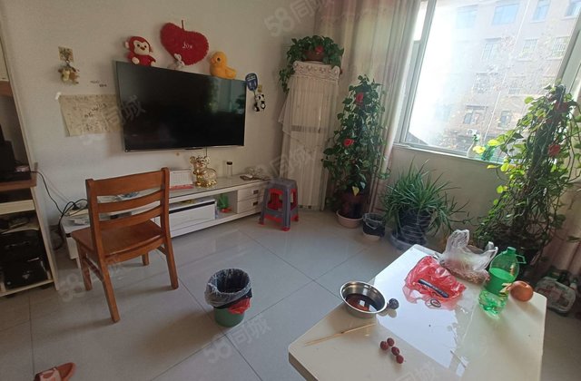 万豪  ，多层洋房，三室两卫，急售