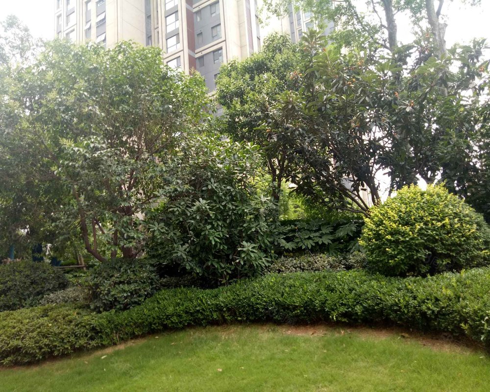 【三王庄滨河花园, 三王庄滨河花园小区详情,房价走势,房源,业主论坛