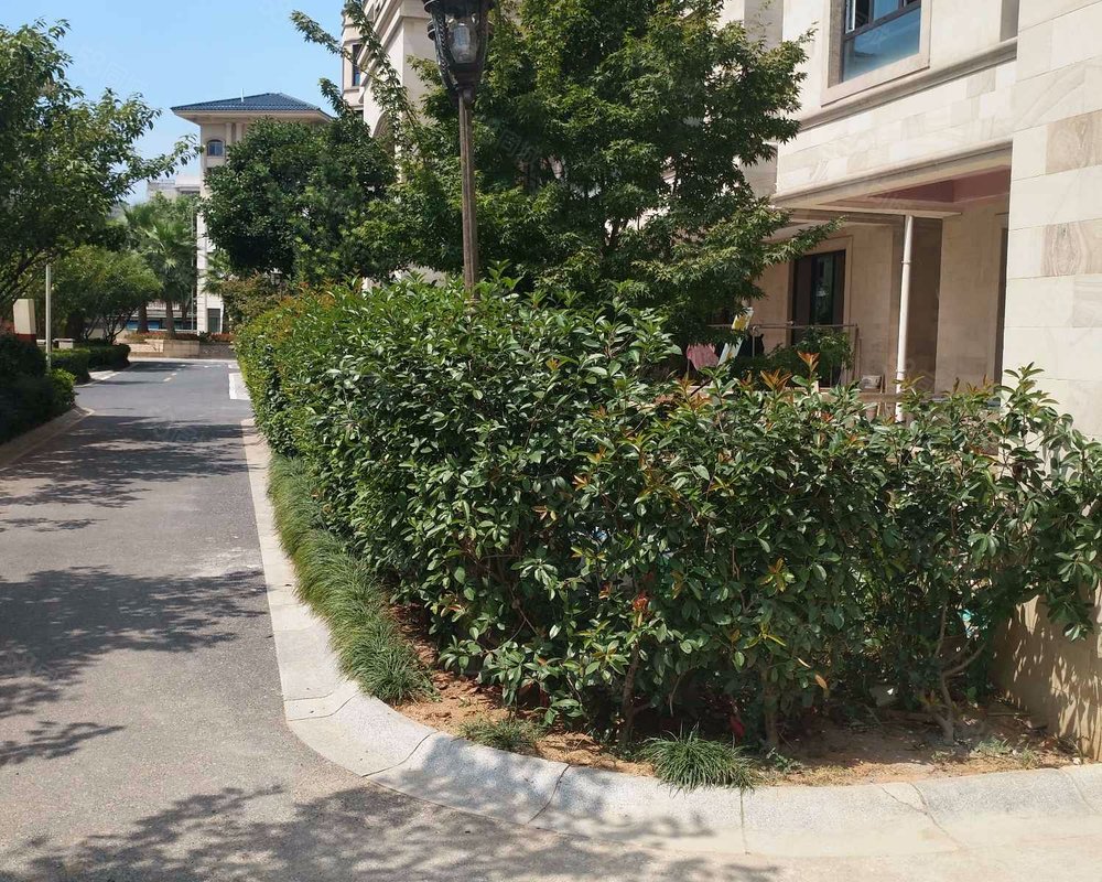 【翠堤雅苑, 翠堤雅苑小区详情,房价走势,房源,业主论坛】- 义乌58