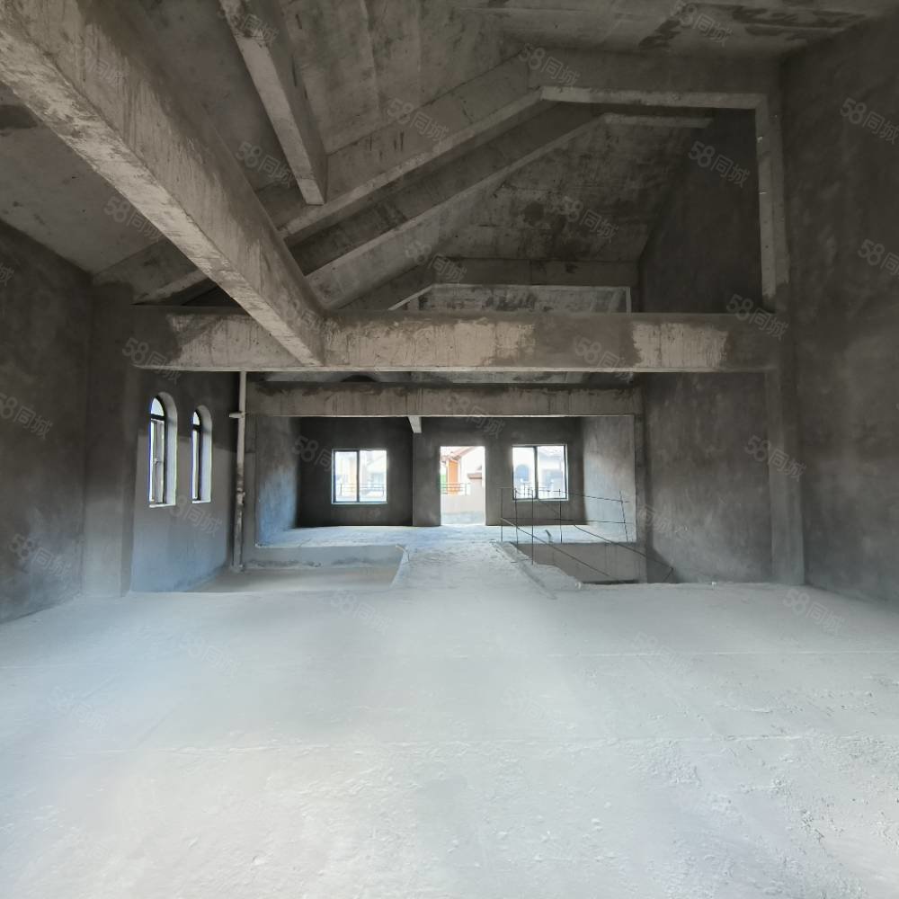 北部新洲莱茵别墅8室3厅7卫540㎡南北396万