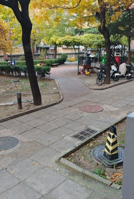 雙花園西里小區(qū)3室1廳3衛(wèi)60㎡北422萬