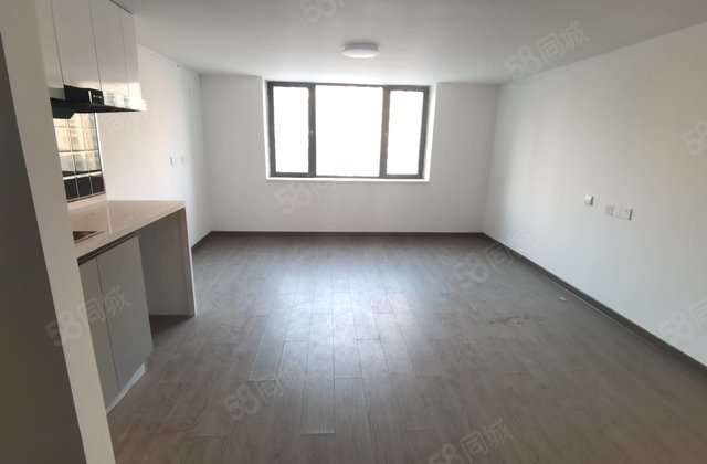 振兴路 滨河大道 莲湖湾 复式双钥匙公寓 可自住可出租