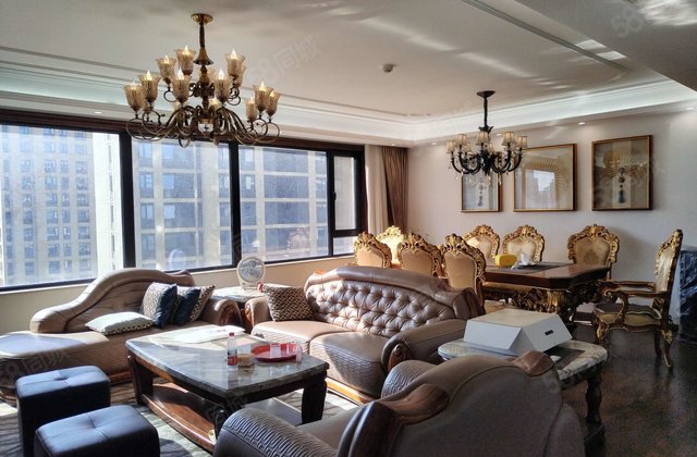 百合新城平层 精装未住 带菜园 车位储藏室 家具家电 看房联