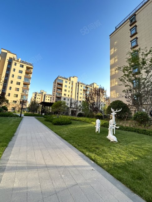 8平,三室双卫,兴业大连花园6期(南区)-日照58同城