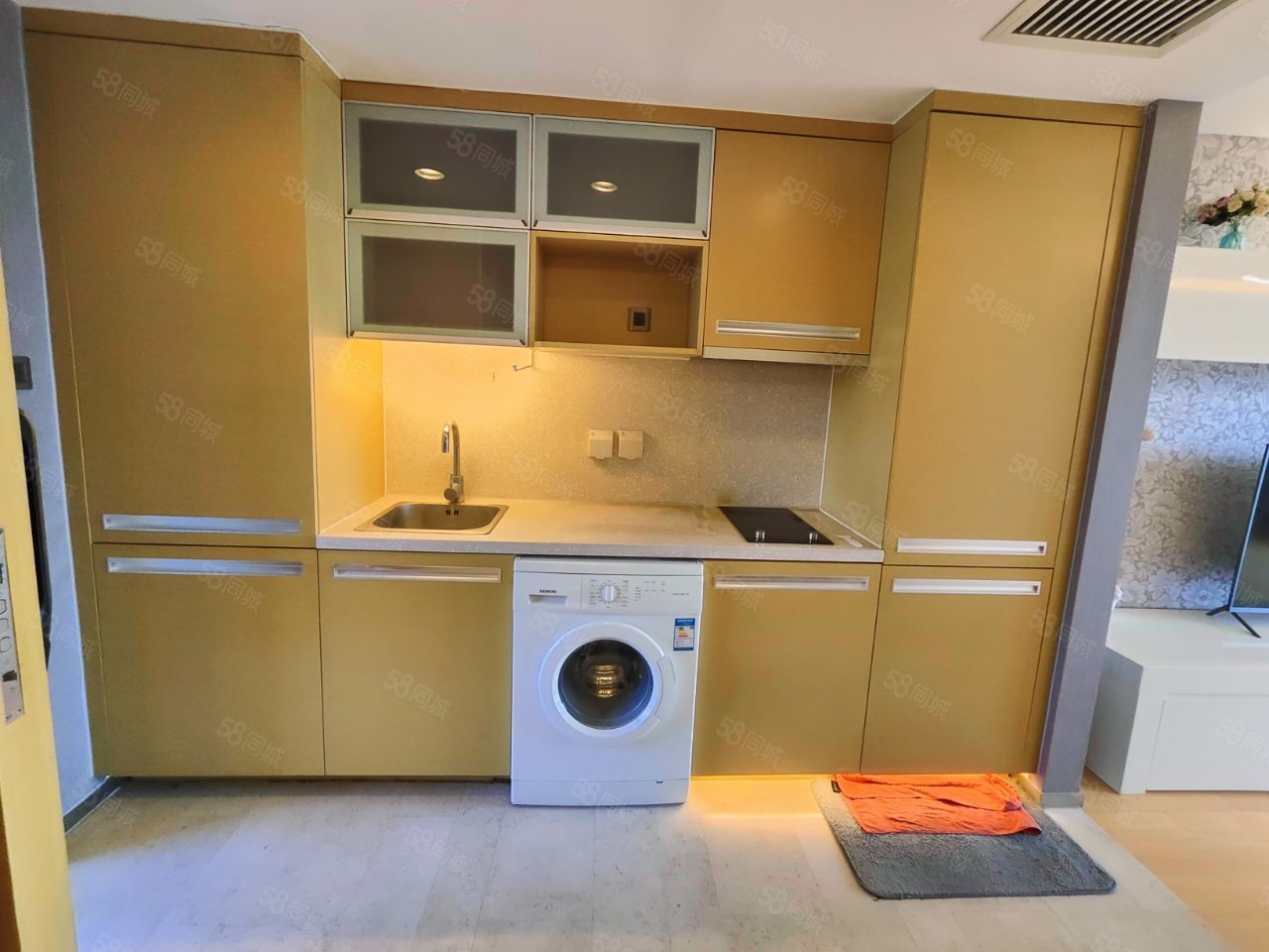 萬科公園五號1室0廳1衛(wèi)58.51㎡東310萬