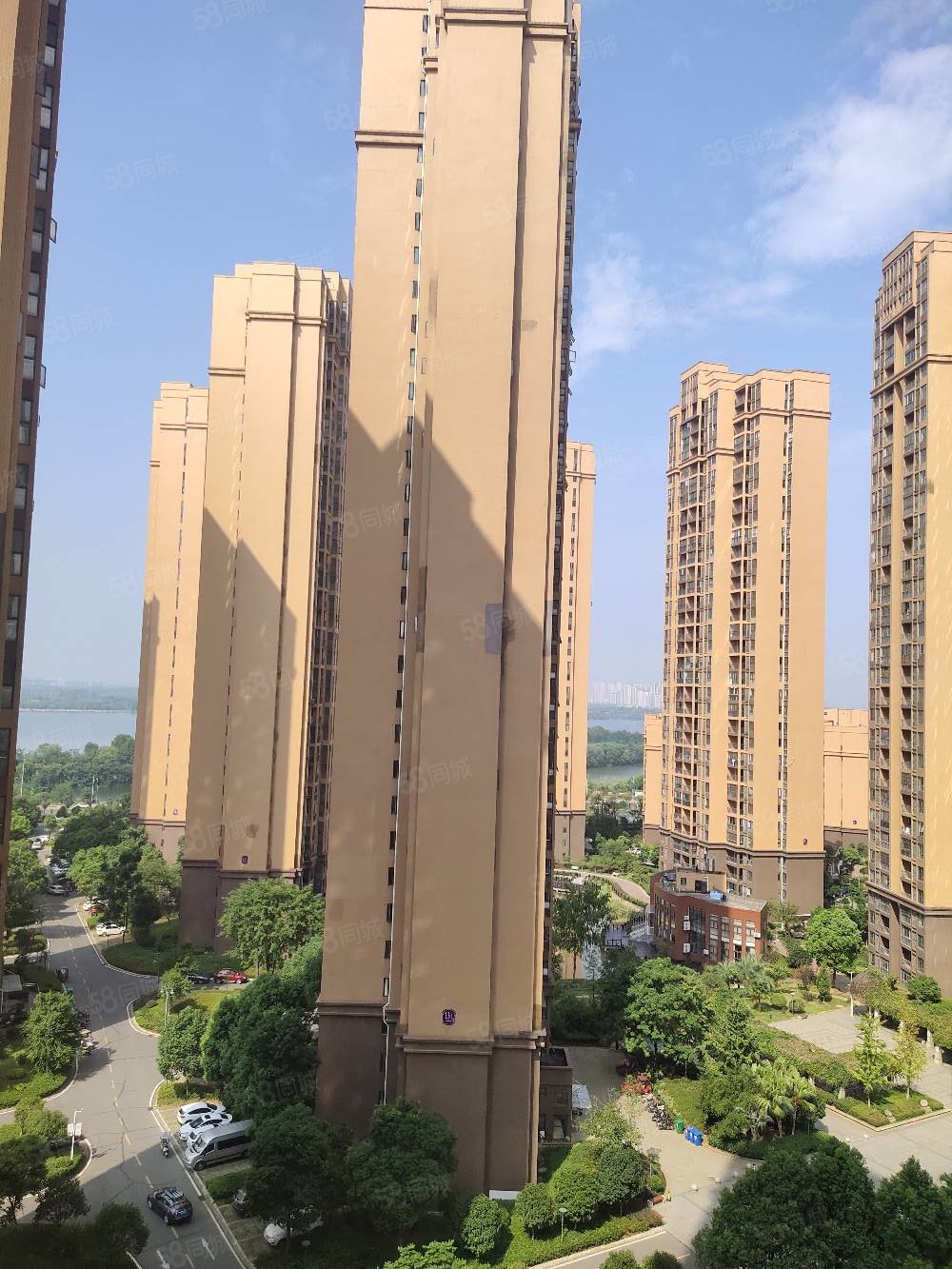 紫菱东岸1室1厅1卫45㎡南35万