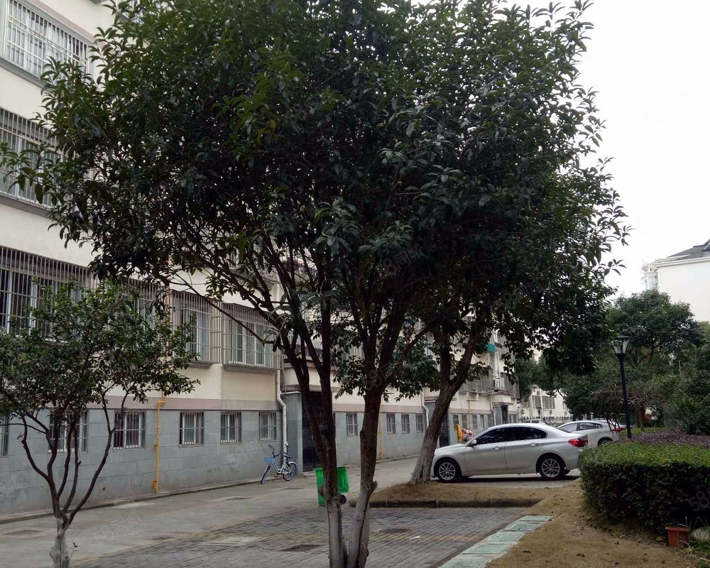 【阳明花园, 阳明花园小区详情,房价走势,房源,业主论坛】- 象山58