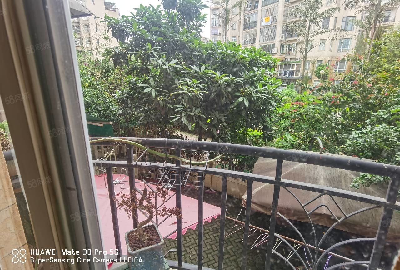 柳州58同城>柳州房产信息>柳州二手房>柳南二手房>潭西二手房>金河湾>