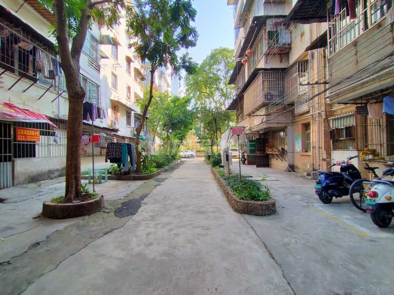 新竹小区自带花园接地一楼3房75万