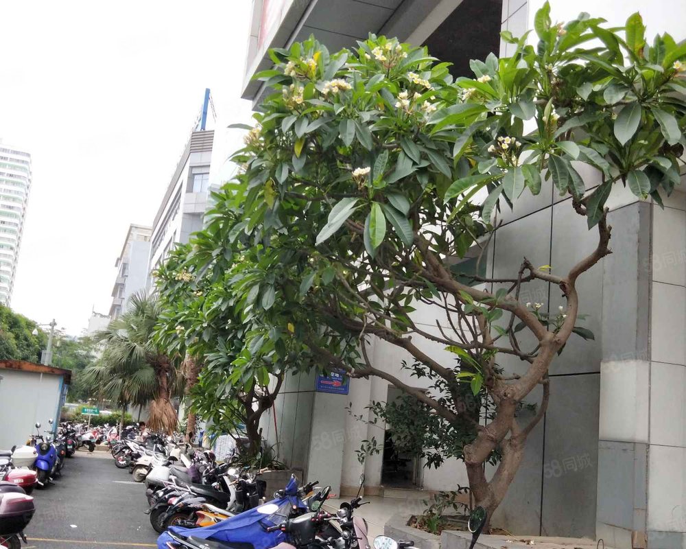 【绿城画卷, 绿城画卷小区详情,房价走势,房源,业主论坛】- 南宁58