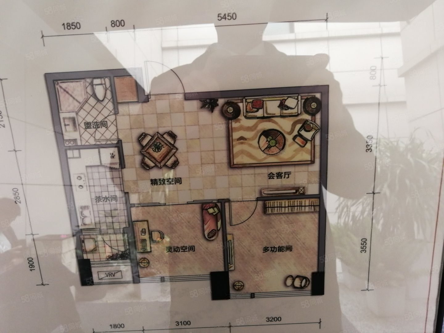 棠湖华府公园2室1厅1卫72㎡南北58万