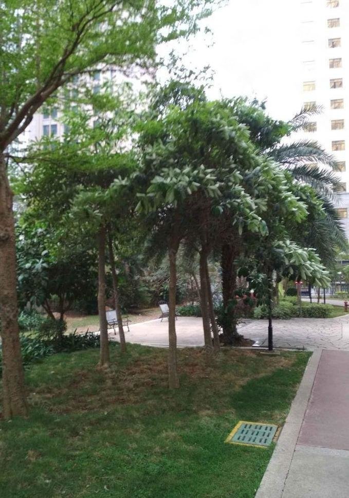 丽日花园3室2厅2卫123.87㎡南115万