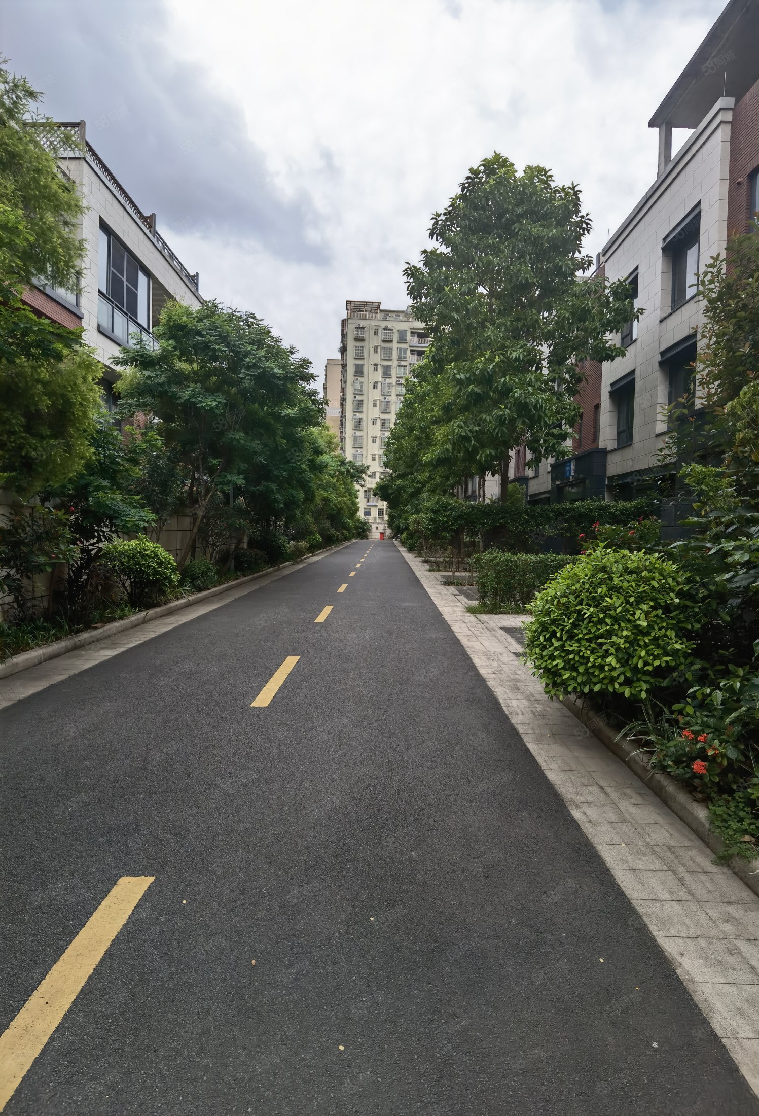 万科四季花城78平2房加书房精装修高楼层采光明亮