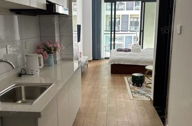 建业世纪东方1室0厅42㎡45.8万二手房图片