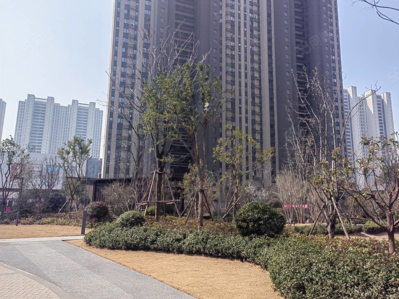 南北通透 双卫格局 高楼层视野无遮挡 有电梯,凤凰小区-平顶山58同城