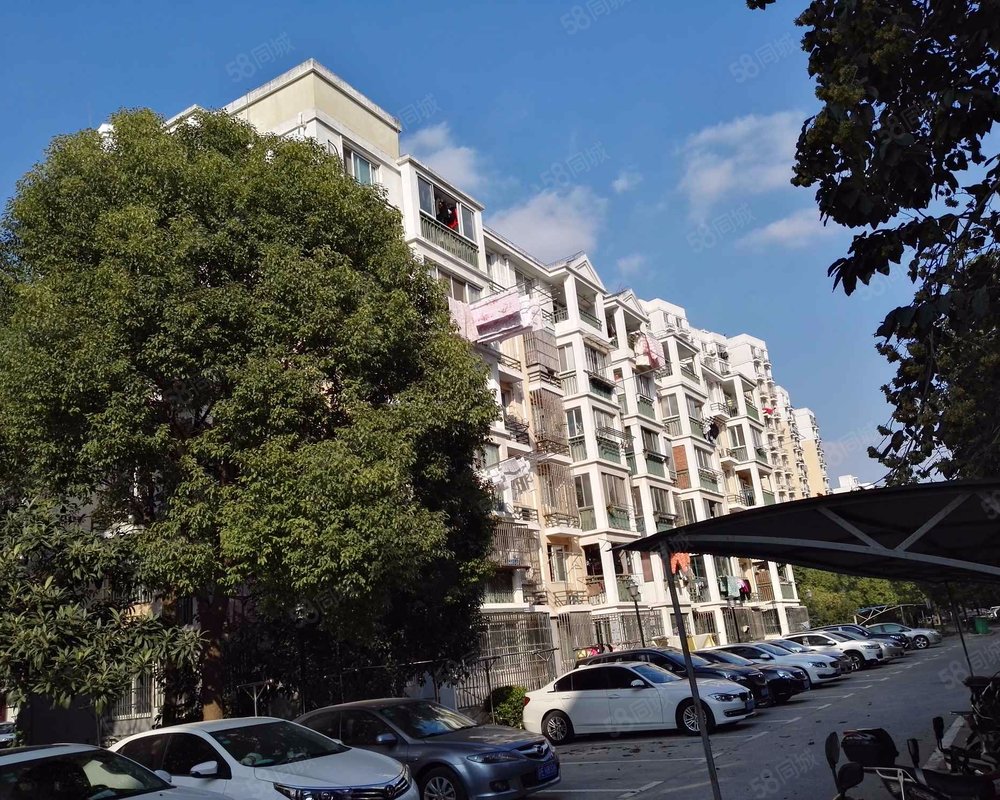 东方悦居苑内中环之间