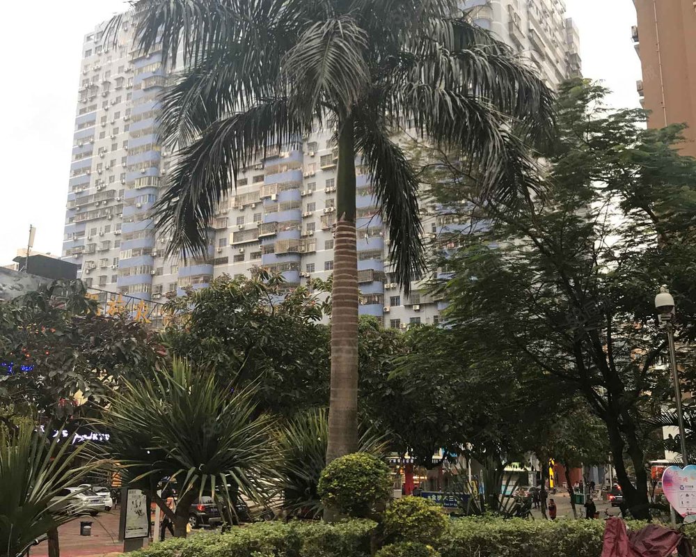 【枫丹雅苑, 枫丹雅苑小区详情,房价走势,房源,业主论坛】- 厦门58