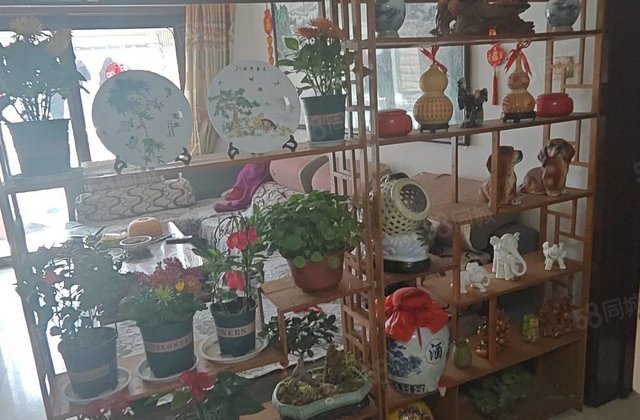 房外国语 !文轩中学!龙湾商品房精装三室两卫!免大税!