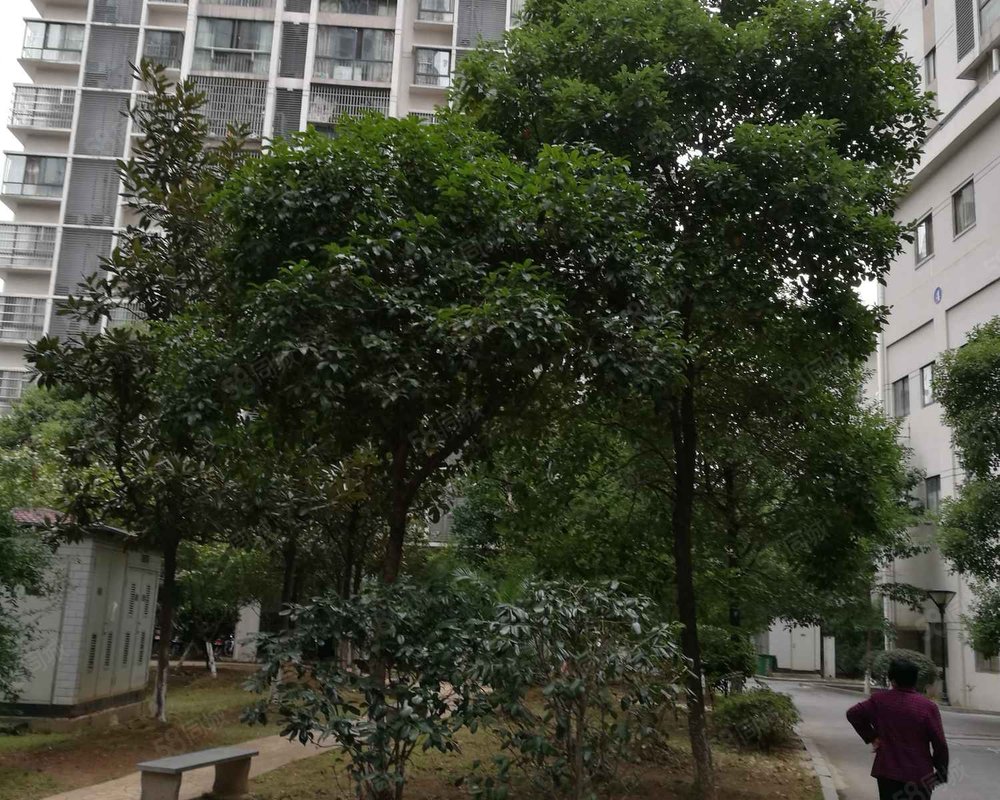 【阳光新城, 阳光新城小区详情,房价走势,房源,业主论坛】- 株洲58