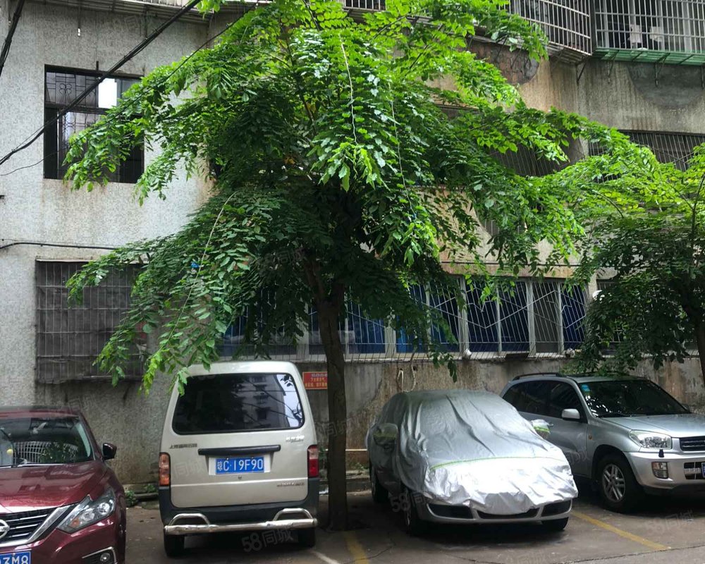 【华侨新村, 华侨新村小区详情,房价走势,房源,业主论坛】- 海口58