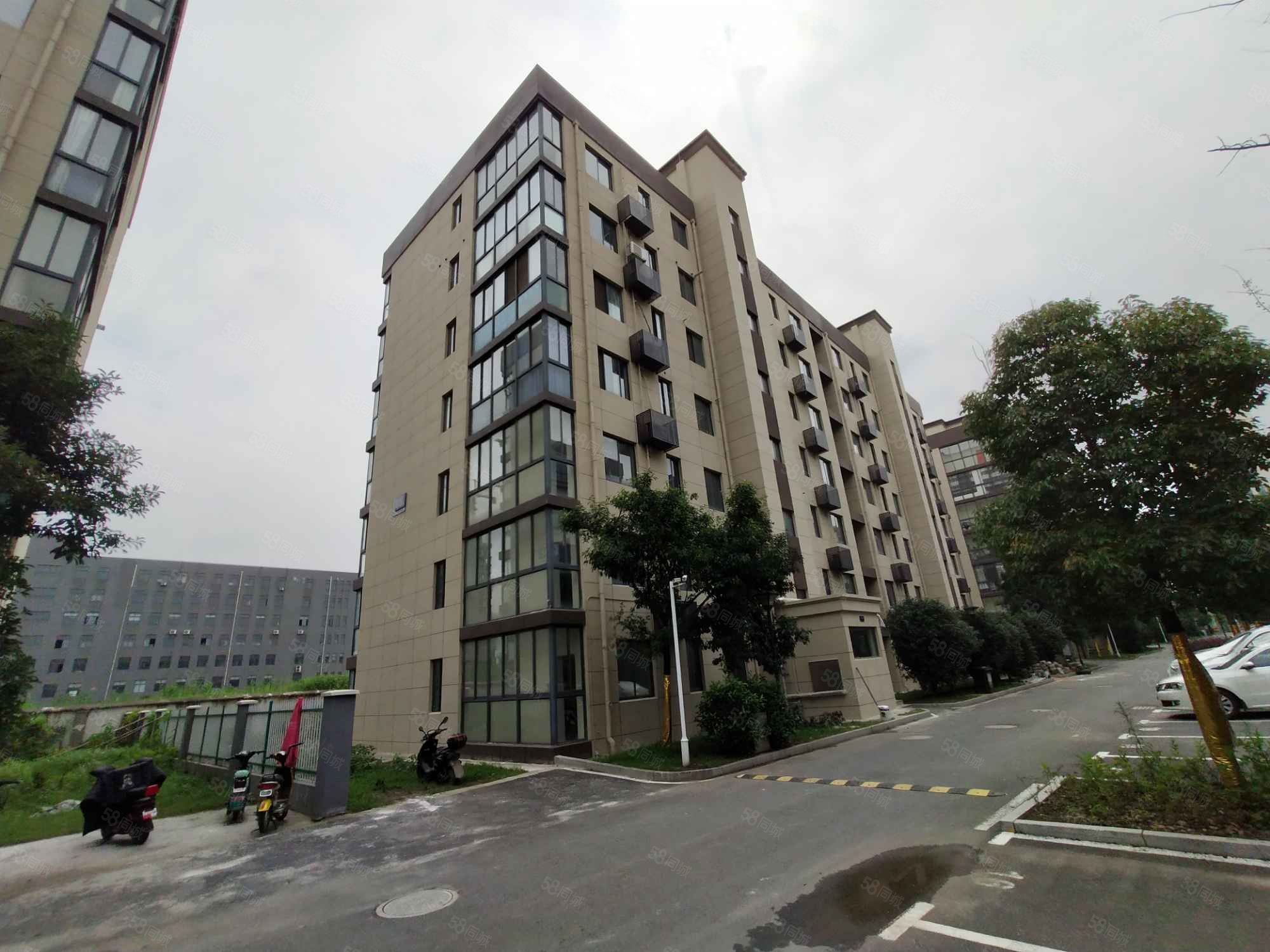 恒通国际2室2厅2卫56㎡南60.9万