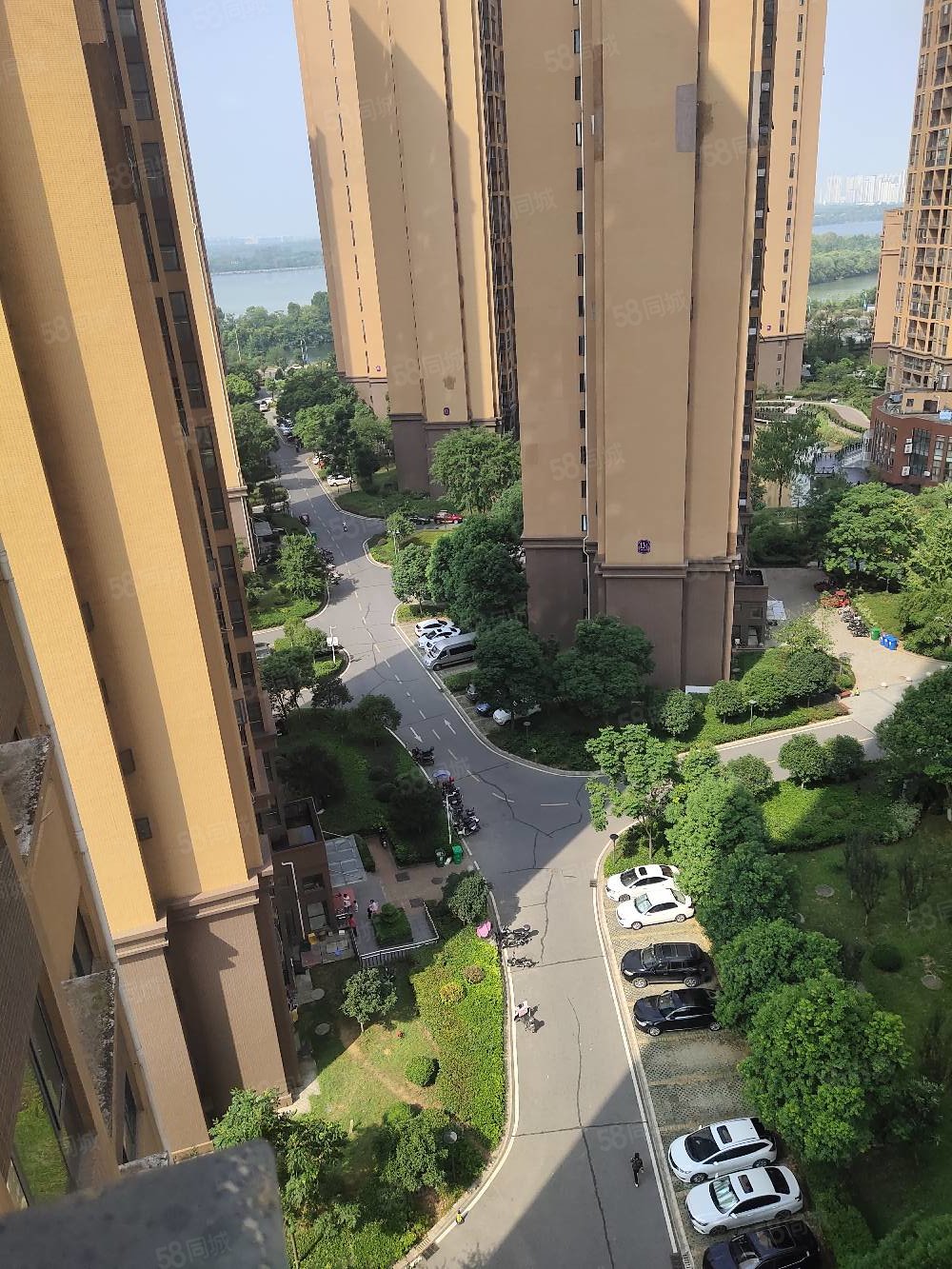 紫菱东岸1室1厅1卫45㎡南35万