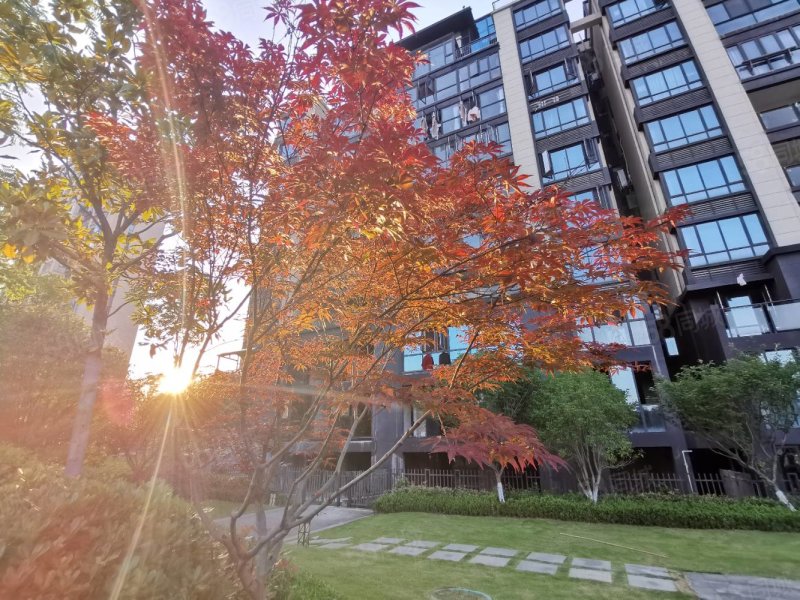 港中旅公元7室3厅2卫300㎡南北175万