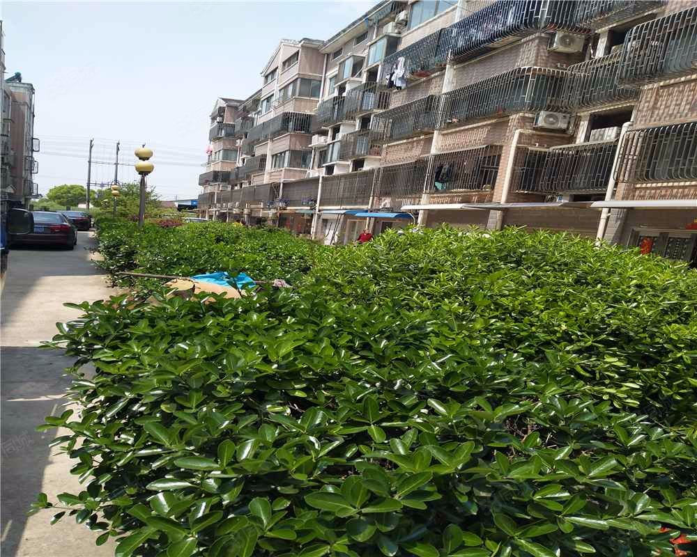 【蠡园, 蠡园小区详情,房价走势,房源,业主论坛】- 无锡58同城