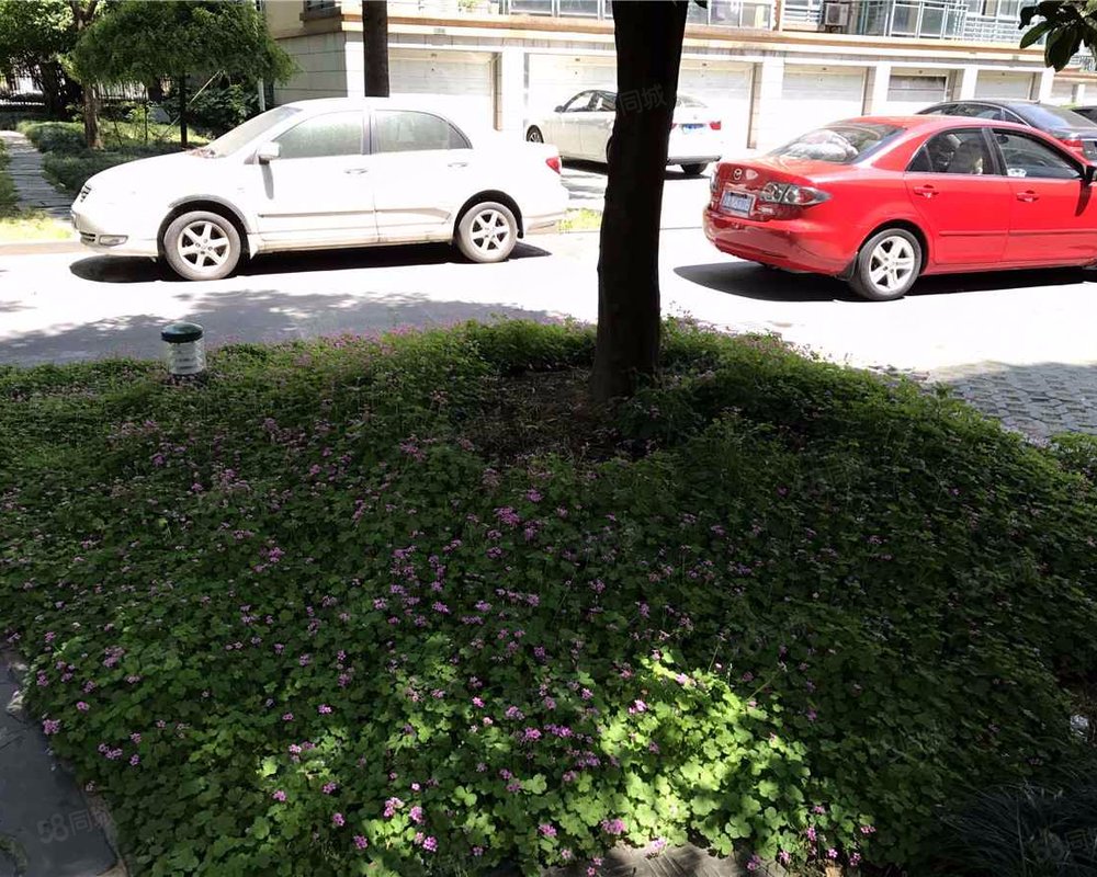 【胡姬花园, 胡姬花园小区详情,房价走势,房源,业主论坛】- 杭州58