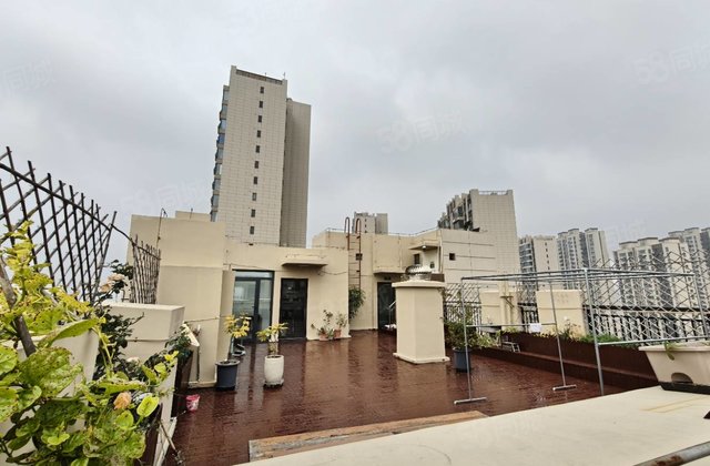 带空中花园二中锦绣学府碧桂园翡丽湾四室两厅免大税送车位徒骇河