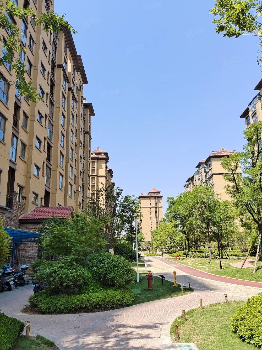 建业森林半岛(内乡)3室2厅2卫116㎡南北53.6万