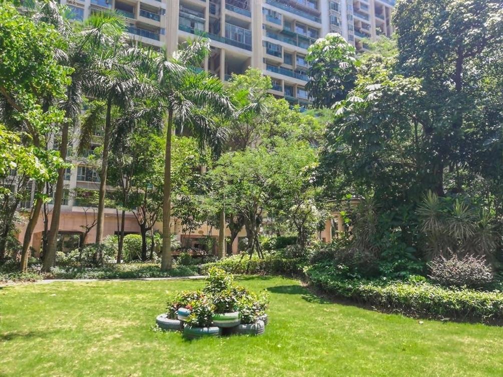 前海欢乐港湾旁熙龙湾一期大5房高楼层南北通透安静舒适